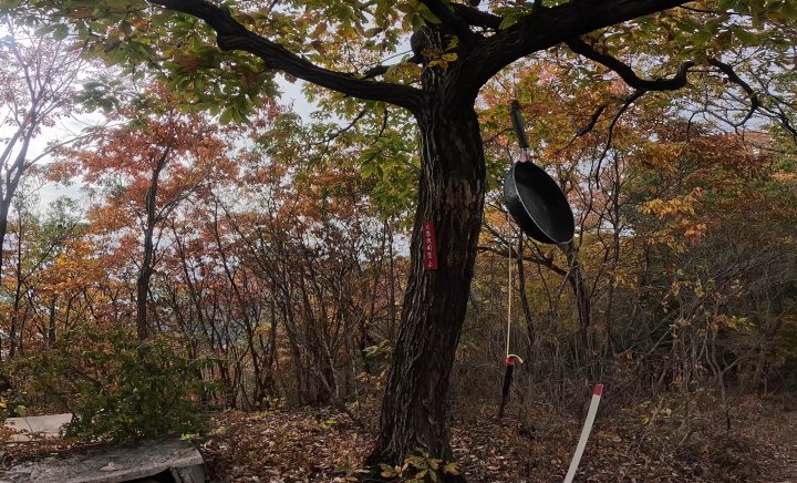 ⑨ 山中のフライパン